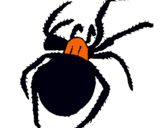 Dibujo Araña venenosa pintado por bert
