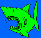 Dibujo Tiburón pintado por chocol