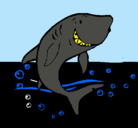 Dibujo Tiburón pintado por asiugh