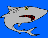 Dibujo Tiburón pintado por tghyfghy