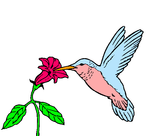 Dibujo Colibrí y una flor pintado por jajan