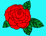 Dibujo Rosa pintado por chicha 