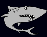 Dibujo Tiburón pintado por delrin