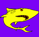 Dibujo Tiburón pintado por david4