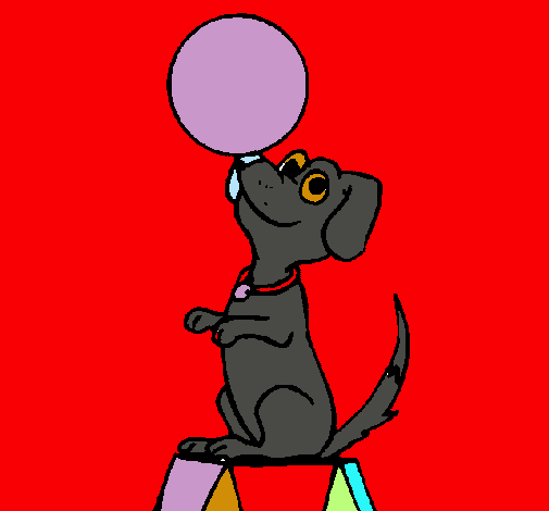 Dibujo Perro de circo pintado por Dany15