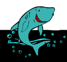 Dibujo Tiburón pintado por nadorsim