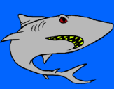 Dibujo Tiburón pintado por nelnelnelnel