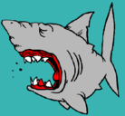 Dibujo Tiburón pintado por TUERESFEO