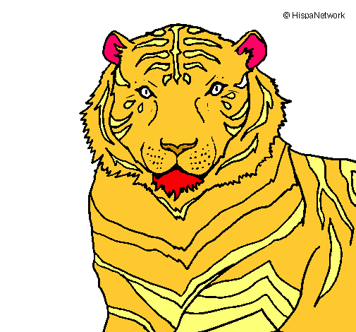 Dibujo Tigre pintado por 123JMJMRP