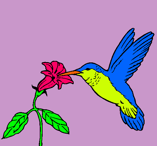 Dibujo Colibrí y una flor pintado por lizbeth24