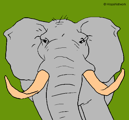 Dibujo Elefante africano pintado por yazmile