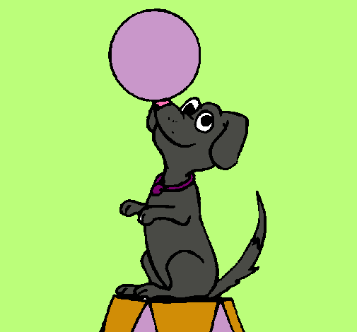 Dibujo Perro de circo pintado por Dany15