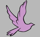Dibujo Paloma de la paz al vuelo pintado por federipo