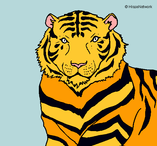 Dibujo Tigre pintado por dominic