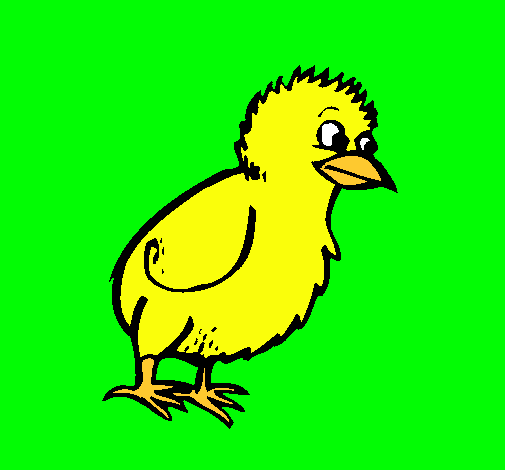 Dibujo Pollito pintado por veliz