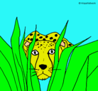 Dibujo Guepardo pintado por gueopardo
