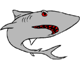 Dibujo Tiburón pintado por inuyasha