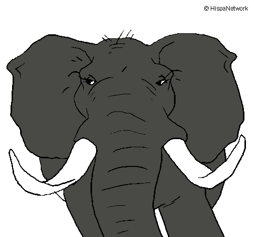 Dibujo Elefante africano pintado por MatiasIsr