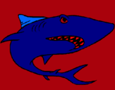 Dibujo Tiburón pintado por BRAJAM