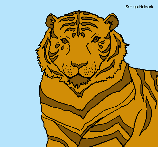 Dibujo Tigre pintado por amalia