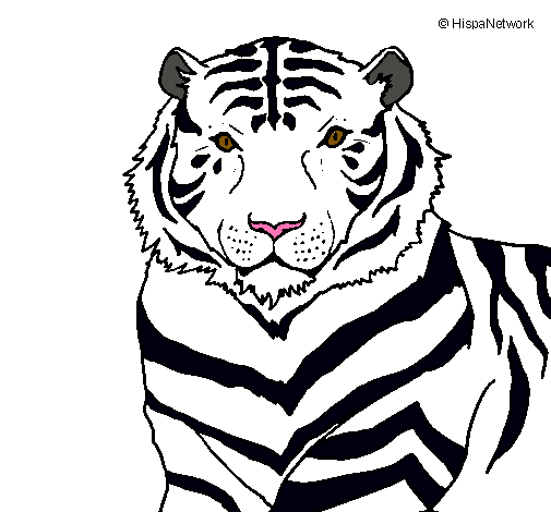 Dibujo Tigre pintado por sebastian_