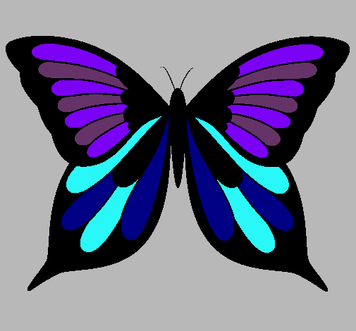 Dibujo Mariposa 8 pintado por lla_antito