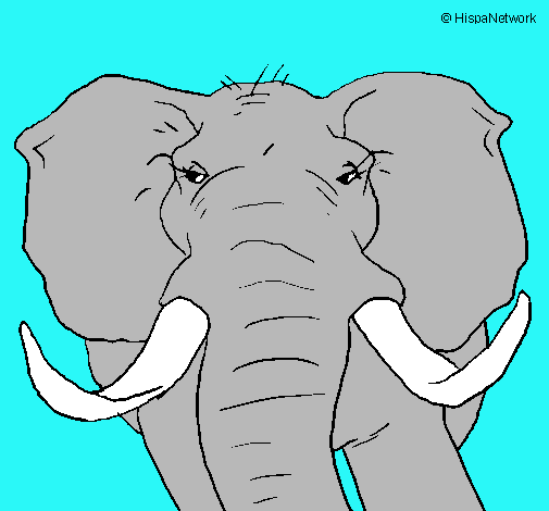Dibujo Elefante africano pintado por albafg