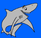 Dibujo Tiburón alegre pintado por migale