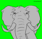 Dibujo Elefante africano pintado por paolo