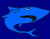Dibujo Tiburón pintado por MatiasIsr