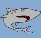 Dibujo Tiburón pintado por MAXIXD
