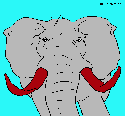 Dibujo Elefante africano pintado por thennband