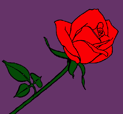 Dibujo Rosa pintado por luzzii05