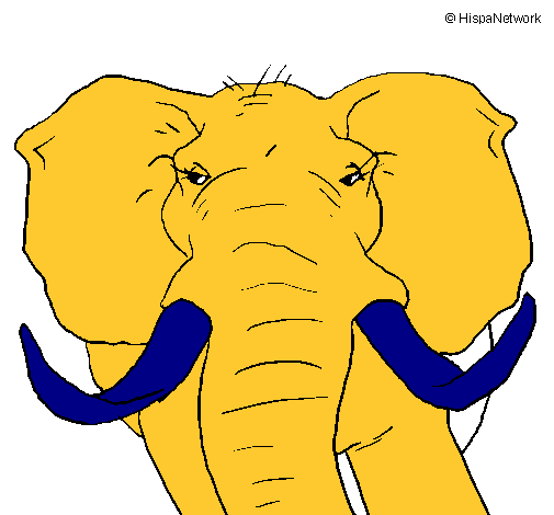 Dibujo Elefante africano pintado por josephcf