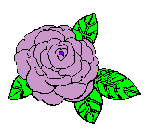 Dibujo Rosa pintado por lili52