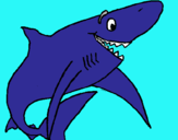 Dibujo Tiburón alegre pintado por KELET