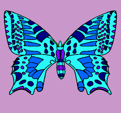 Dibujo Mariposa 5 pintado por Oinsu