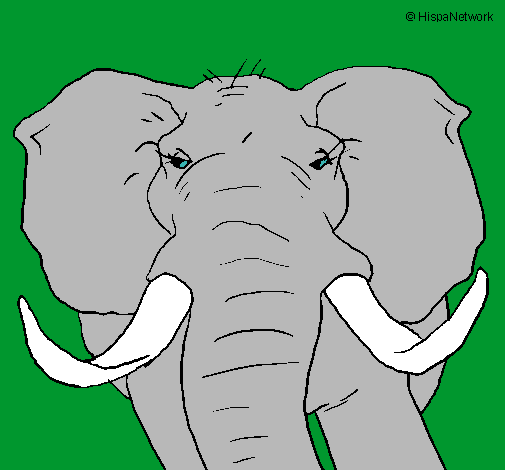 Dibujo Elefante africano pintado por pistolita