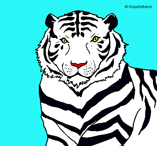 Dibujo Tigre pintado por archisofi