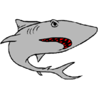 Dibujo Tiburón pintado por kikin