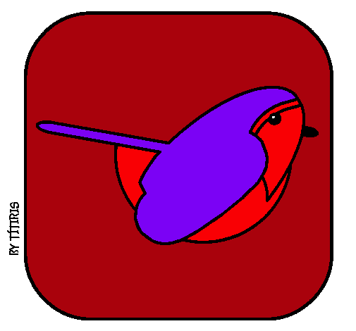 Dibujo Pájaro II pintado por agustin3