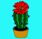 Dibujo Cactus con flor pintado por alimarch