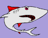 Dibujo Tiburón pintado por tiburonchar 