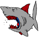 Dibujo Tiburón pintado por motrotiburon