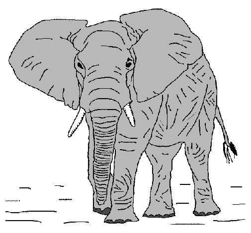 Dibujo Elefante pintado por PHanni