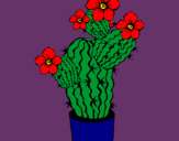 Dibujo Flores de cactus pintado por 1996a