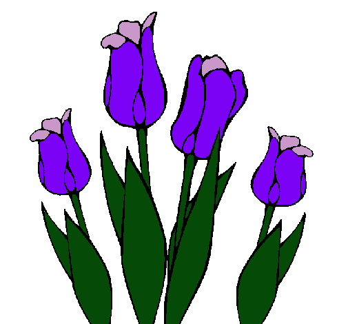 Dibujo Tulipanes pintado por pillo
