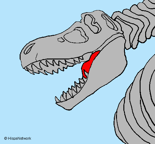 Dibujo Esqueleto tiranosaurio rex pintado por banco