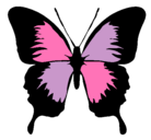 Dibujo Mariposa con alas negras pintado por pitita
