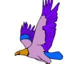 Dibujo Águila volando pintado por agil